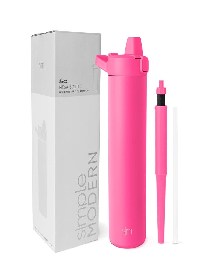 سيمبل مودرن زجاجة مياه بسيطة وعصرية مزودة بفلتر | زجاجات مياه معزولة من الفولاذ المقاوم للصدأ مزودة بفلتر كربوني للسفر | قابلة لإعادة الاستخدام للحصول على مياه شرب نظيفة أثناء التنقل | 24 أونصة، لون توت العليق - Image 1