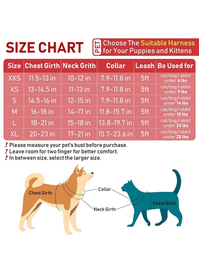 GAMUDA Small Dog Harness Collar and Leash Set, Step in No Chock No Pull Soft Mesh Adjustable Dog Vest Harnesses Plaid Reflective for Dogs Puppy Cats Kitten Rabbit (Red, S) - Image 2