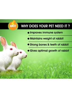 Premium Adult Pellet Rabbit Food, Nutritionist Choice (Rabbit Food 1.2Kg) - pzsku/ZAB9B2CA8B5C41E0ADFDBZ/45/_/1727767906/2bfaa5eb-af4a-41c8-b091-84ca58de3608