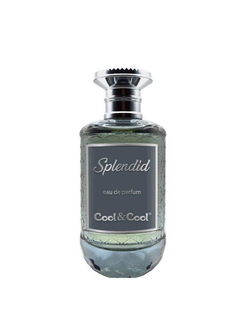 Cool & Cool Splendid Perfume 100 ML - Image 1