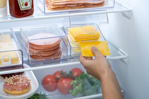 Pikanty American Sliced Cheese Holder | Airtight Storage Container for Fridge | Hinged Lid | Dishwasher Safe | Holds 24 Slices | Made in USA - Image 3
