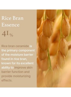 I'M FROM Rice Cream 50ml  - Image 5