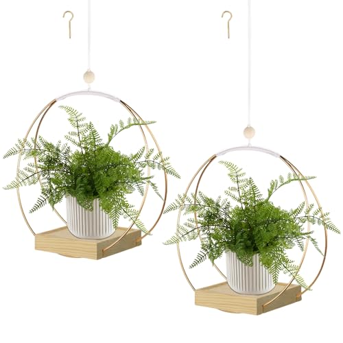 hismocal Hanging Planter for Indoor Plants, Plant Hanger with Sturdy Wood Base,Modern Boho Macrame Plant Hanger,Wall Ceiling Window Stands(Plants/Pots Not Included) - Image 1