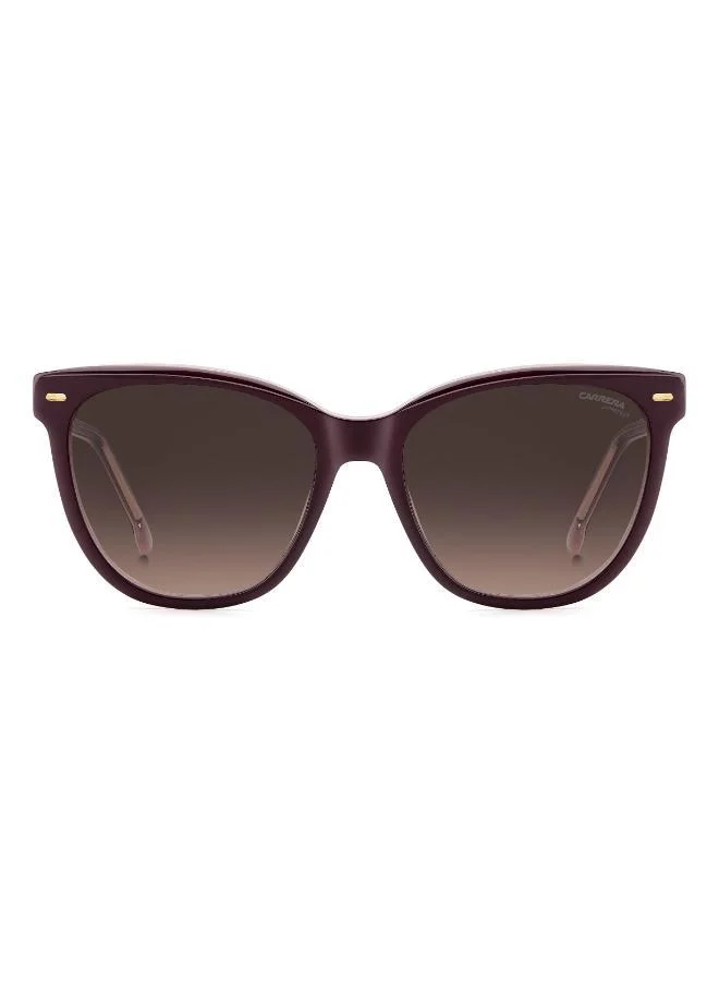 كاريرا Wayfarers Sunglasses