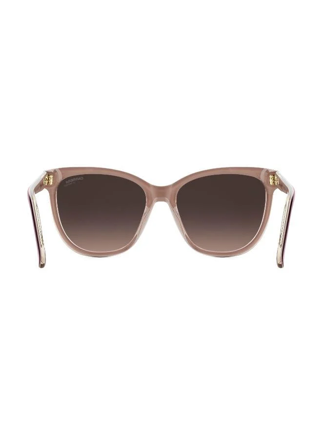 كاريرا Wayfarers Sunglasses