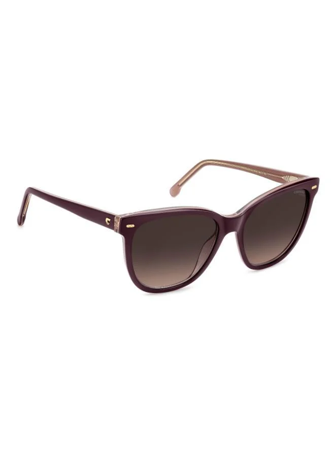 كاريرا Wayfarers Sunglasses