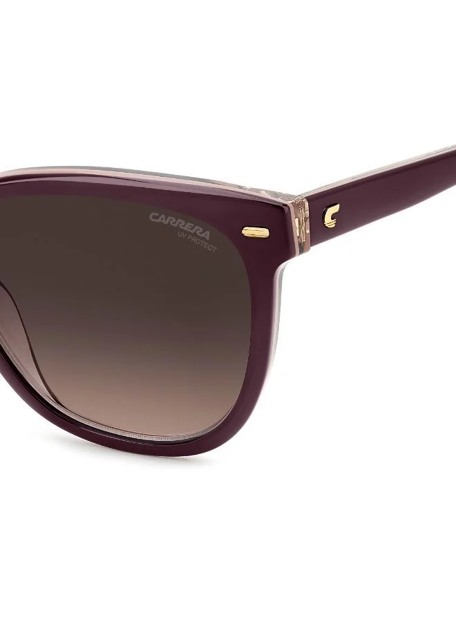 كاريرا Wayfarers Sunglasses