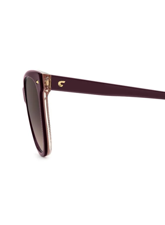 كاريرا Wayfarers Sunglasses