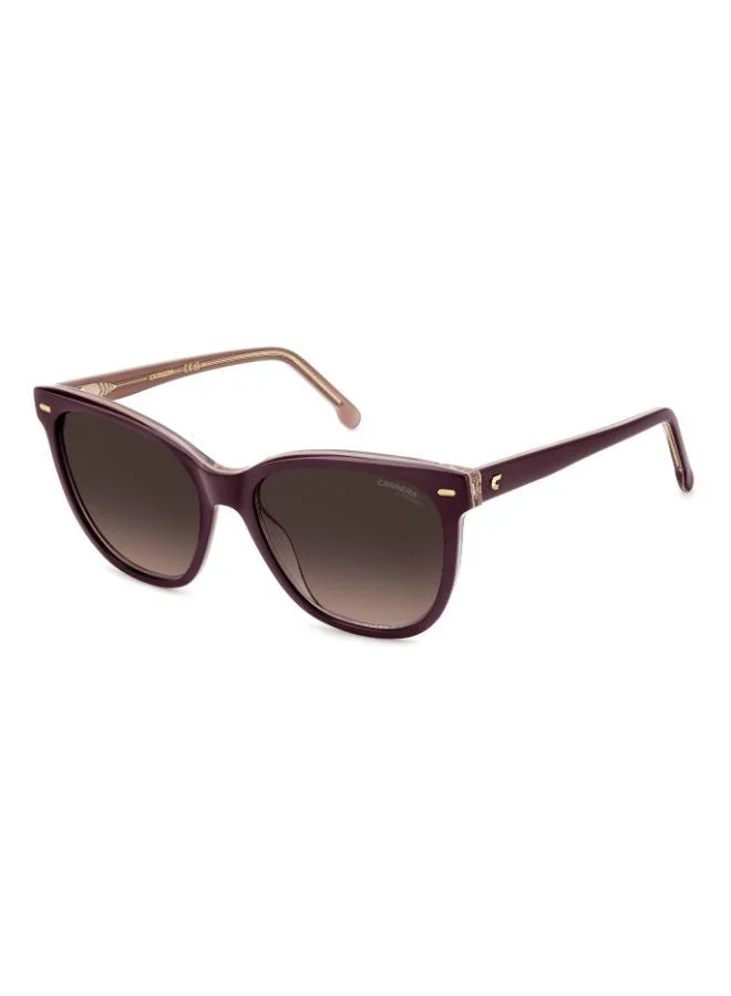 كاريرا Wayfarers Sunglasses