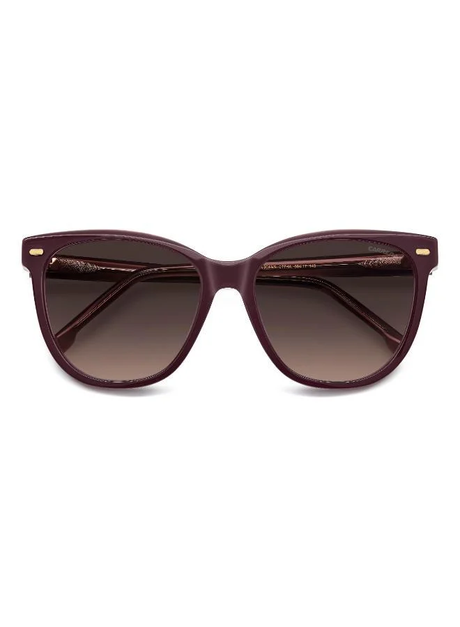 كاريرا Wayfarers Sunglasses
