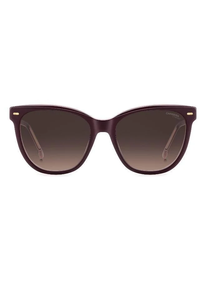 Carrera Wayfarers Sunglasses