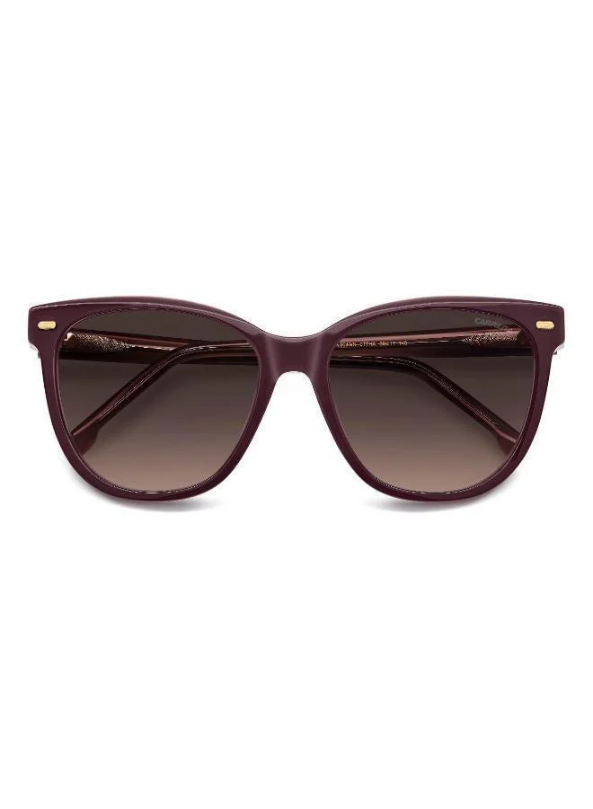 Carrera Wayfarers Sunglasses