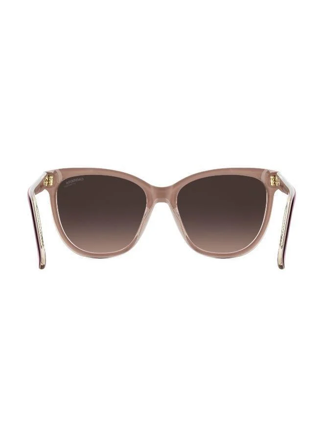 Carrera Wayfarers Sunglasses