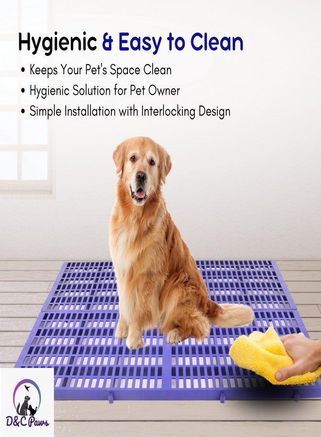 D&C Paws Velvet Floor Mat for Dogs, Cats/Rabbit/Goat (Grey, L-36 Inches W-12 H-2 Inch (Set of 2 pcs)) - Image 4