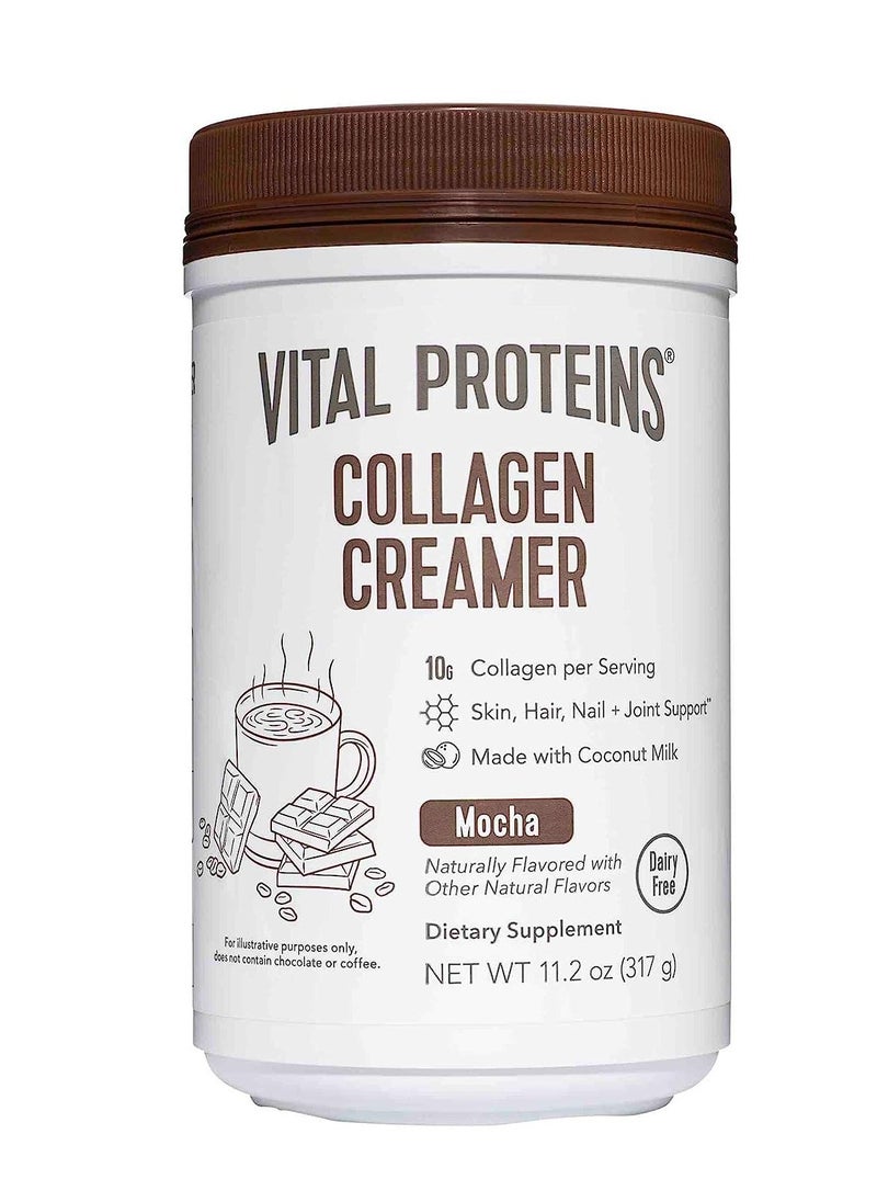 Vital Proteins Collagen Coffee Creamer, Coconut Milk based & Low Sugar Powder with Collagen Peptides Supplement - Supporting Healthy Hair, Skin, Nails with Energy-Boosting MCTs - Mocha 11.2oz  - Image 1
