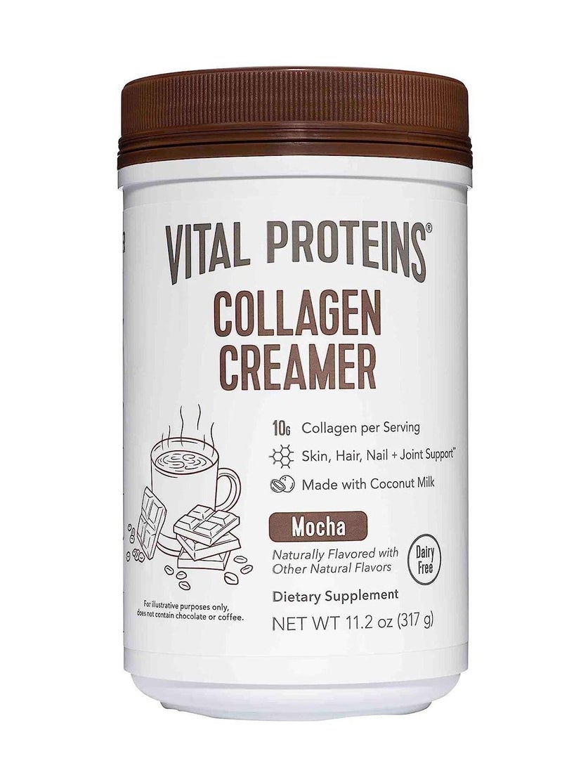 Collagen Coffee Creamer, Coconut Milk based & Low Sugar Powder with Collagen Peptides Supplement - Supporting Healthy Hair, Skin, Nails with Energy-Boosting MCTs - Mocha 11.2oz - pzsku/ZABA02CBC14BF7AB1B788Z/45/_/1690991242/273c4de1-7f70-4054-ba7f-df17e6ba42aa