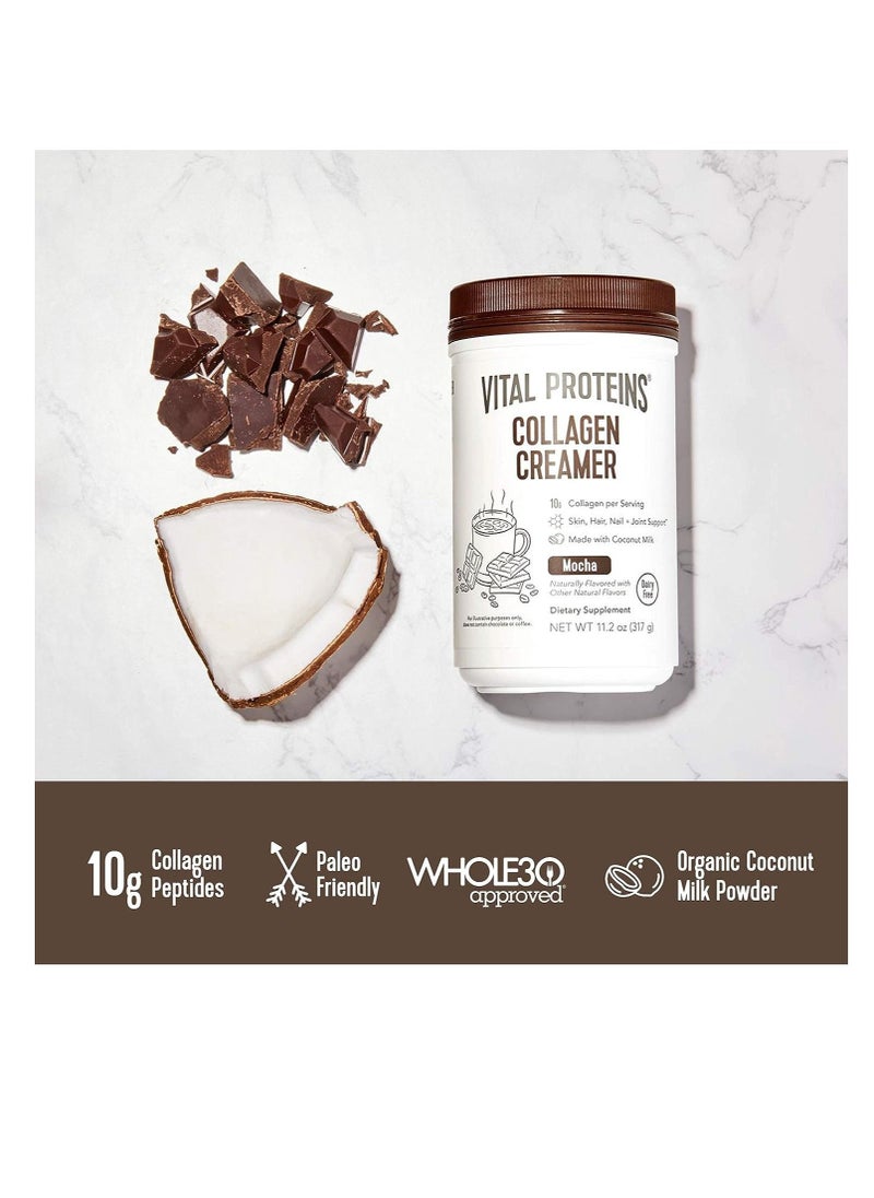 Collagen Coffee Creamer, Coconut Milk based & Low Sugar Powder with Collagen Peptides Supplement - Supporting Healthy Hair, Skin, Nails with Energy-Boosting MCTs - Mocha 11.2oz - pzsku/ZABA02CBC14BF7AB1B788Z/45/_/1690991243/217199dd-6516-4d07-857f-98fd8bb1982b