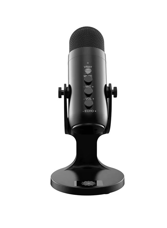 Jmary PW8 Professional Metal Voice Recording Usb Condenser Studio And Podcast Recording Gaming Microphones - Image 1