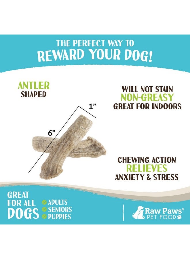 Raw Paws Antler Shaped Dog Treats (6 Pack) - Dog Cookies for Large Dogs & Medium Dogs, Crunchy Dog Treats Chicken Flavored, Large Dog Biscuits for Big Dogs, Antler Shaped Dog Snacks Made in USA - Image 4