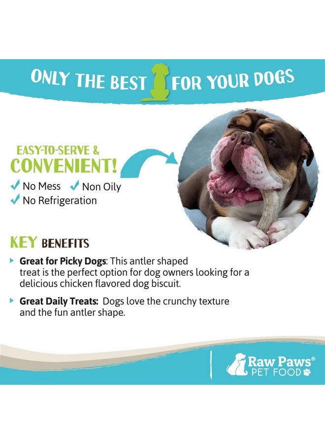 Raw Paws Antler Shaped Dog Treats (6 Pack) - Dog Cookies for Large Dogs & Medium Dogs, Crunchy Dog Treats Chicken Flavored, Large Dog Biscuits for Big Dogs, Antler Shaped Dog Snacks Made in USA - Image 5
