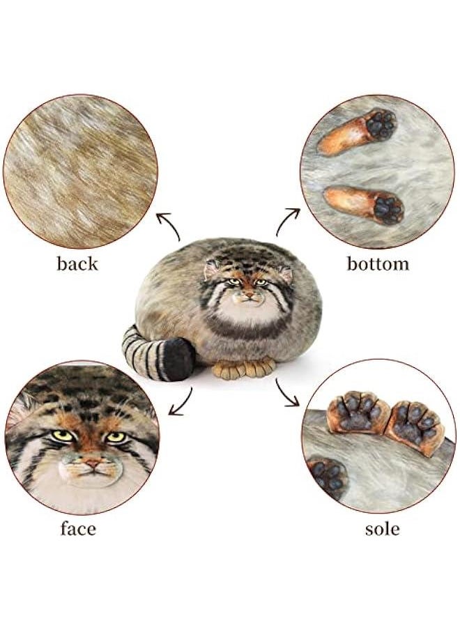 Steppe Cat Plush, Cat Stuffed Animal 35cm/14inch, Pallas Cat Plush Pillow, Cute Plushies for Girls, Soft Plush Pillow, Throw Pillow Doll Decoration Doll Gift for Kids Boys Party  - Image 3