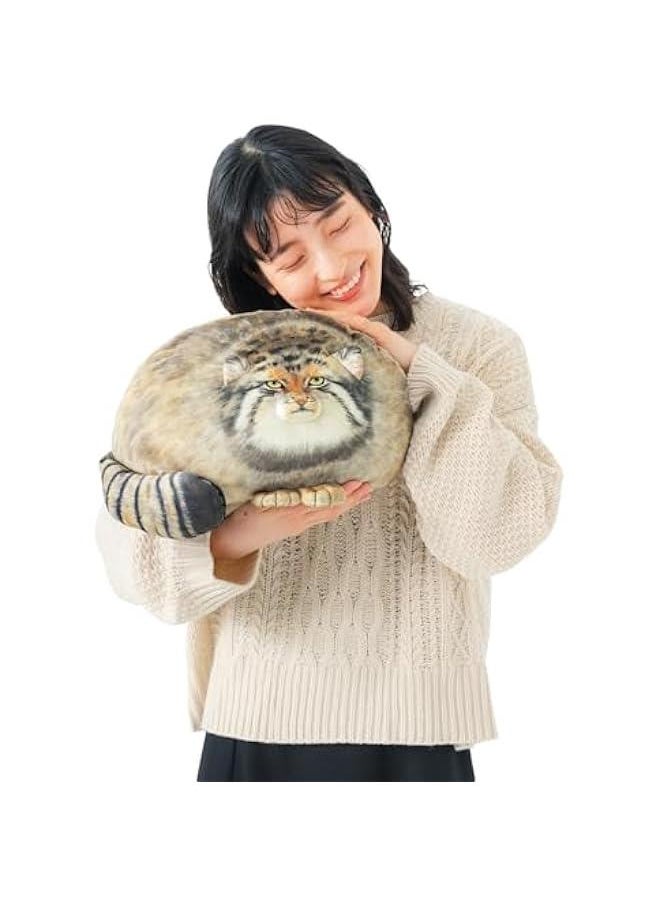 Steppe Cat Plush, Cat Stuffed Animal 35cm/14inch, Pallas Cat Plush Pillow, Cute Plushies for Girls, Soft Plush Pillow, Throw Pillow Doll Decoration Doll Gift for Kids Boys Party  - Image 4