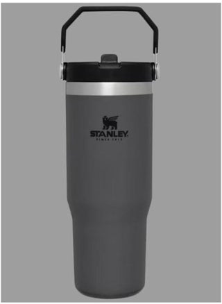 STANLEY IceFlow Flip Straw Water Bottle, 0.88L – Vacuum Insulated, Leakproof & BPA-Free – Keeps Water Cold for 12 Hours – Easy-Carry, Dishwasher Safe Stainless Steel Travel Mug (Charcoal) - pzsku/ZABA2B7DFEE3523CC1021Z/45/_/1739907668/36346ae1-72f0-4e10-941b-f8daefaa6d73