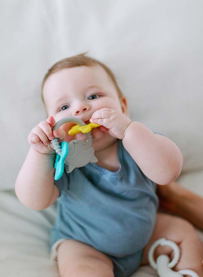 دكتور براونز Fox Learning Loop Teether - Image 3