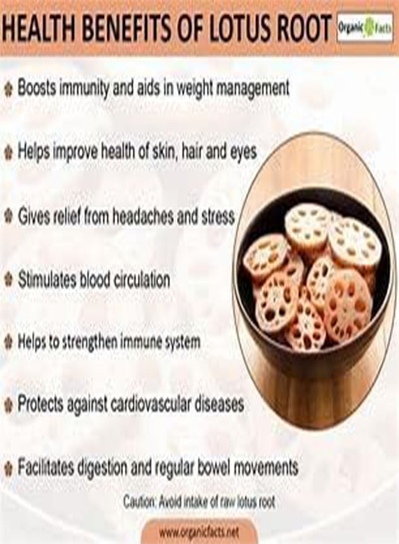 GGOOT 115-gram Dried Lotus Root Slices, Natural Grown Lotus, Served as Healthy Snack, Main Dish and Dessert  - Image 5