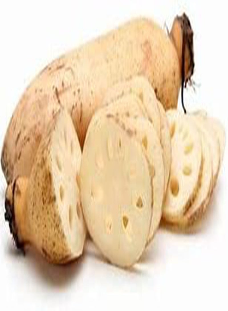 GGOOT 115-gram Dried Lotus Root Slices, Natural Grown Lotus, Served as Healthy Snack, Main Dish and Dessert  - Image 1