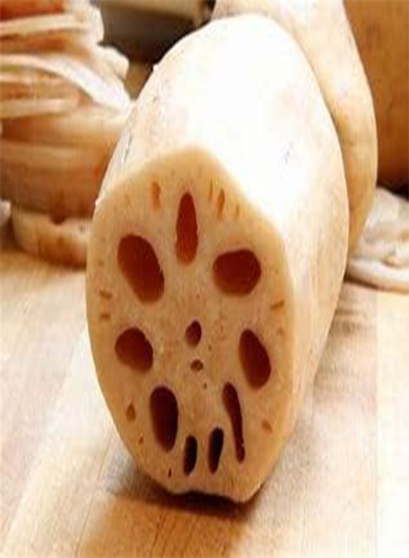 GGOOT 115-gram Dried Lotus Root Slices, Natural Grown Lotus, Served as Healthy Snack, Main Dish and Dessert  - Image 2