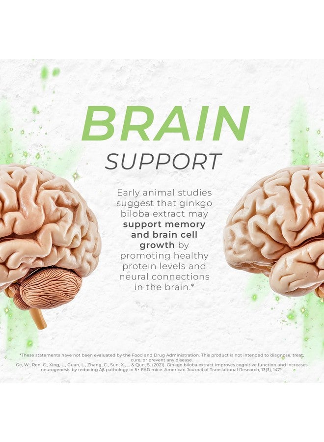 Neurogan Ginkgo Biloba Capsules 13,500,mg | Cognitive Health Supplements for Memory & Focus | Ginkgo Biloba Herbal Supplement, 300mg Per Serving, 90 Ct | Made in USA - Image 3
