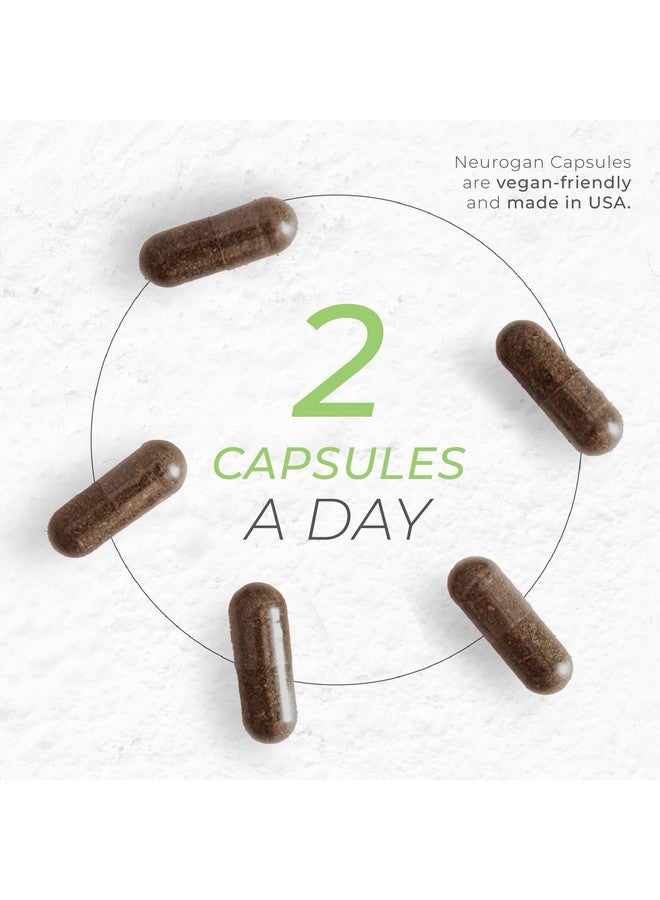 Neurogan Ginkgo Biloba Capsules 13,500,mg | Cognitive Health Supplements for Memory & Focus | Ginkgo Biloba Herbal Supplement, 300mg Per Serving, 90 Ct | Made in USA - Image 5