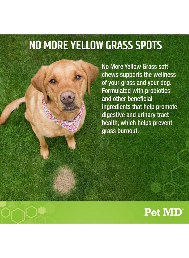 Pet MD Lawn Aid Chews - No More Yellow Spots Dog Urine Neutralizer for Lawn - pH-Balancing Helps Prevent Dog Pee from Killing Grass - Enhanced with Digestive Probiotics for Dogs & Puppies - 120 ct - Image 2