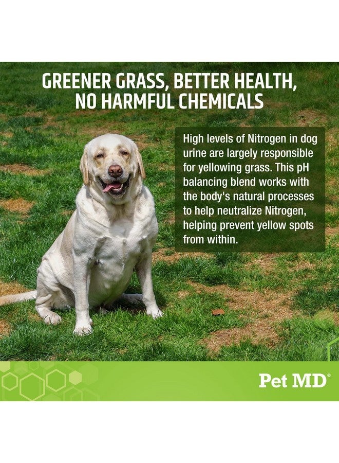 Pet MD Lawn Aid Chews - No More Yellow Spots Dog Urine Neutralizer for Lawn - pH-Balancing Helps Prevent Dog Pee from Killing Grass - Enhanced with Digestive Probiotics for Dogs & Puppies - 120 ct - Image 4