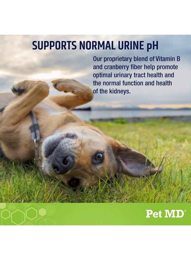 Pet MD Lawn Aid Chews - No More Yellow Spots Dog Urine Neutralizer for Lawn - pH-Balancing Helps Prevent Dog Pee from Killing Grass - Enhanced with Digestive Probiotics for Dogs & Puppies - 120 ct - Image 3