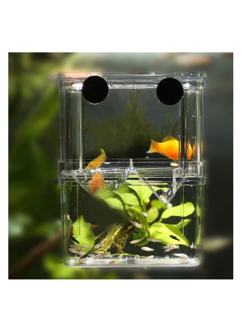 صندوق تربية غوبي متعدد الوظائف لخزان الأسماك صندوق عزل أكريليك - Image 1