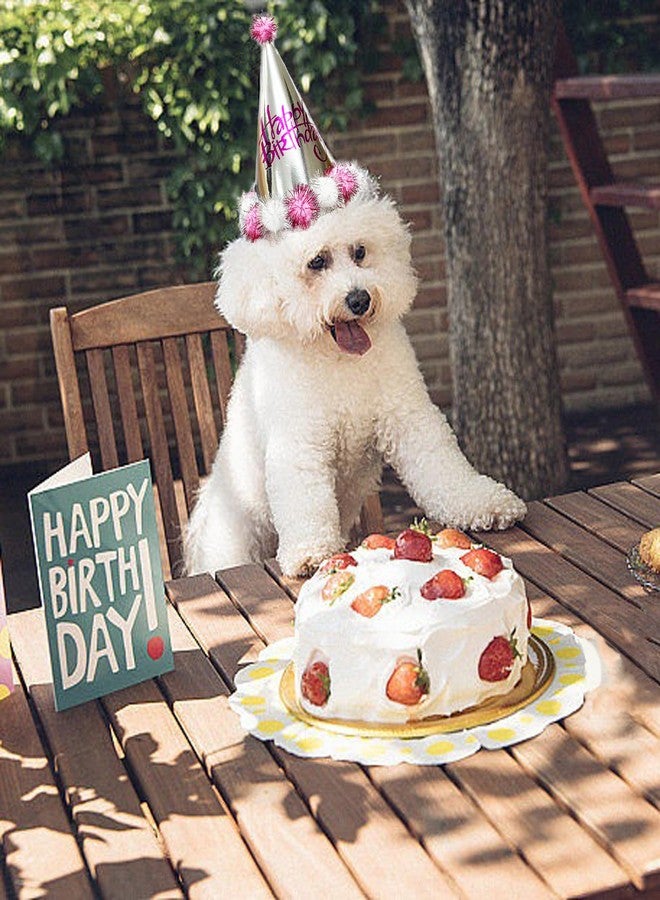 TSJ 10 PCS Happy Birthday Hats Cone Party Hats Birthday Party Hats for Kids Adults - Image 4