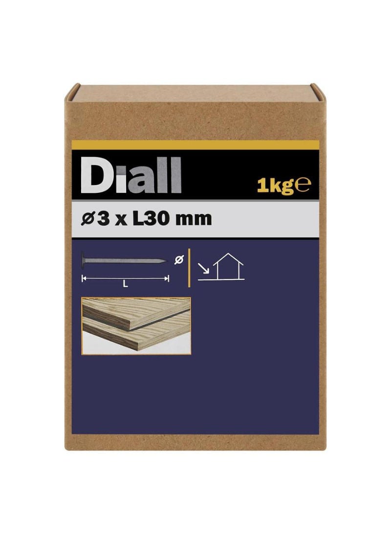 Galvanised Carbon Steel Clout Nail Pack 3 X 30 Mm 1 Kg