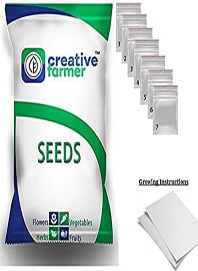 GGOOT Flower Seeds : Pouch Nemesia Seeds for Terrace Garden Flower Seeds for All Season (1 Packets) Garden Plant Seeds  - Image 3