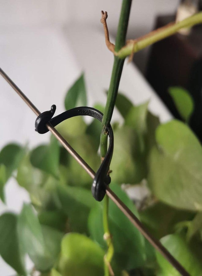 SUSUB 200PCS Grape Trellis Kiwi Grape Stem Vine Clips Grape Ties Garden Plant Support Clips Holder Fruit Buckles Hooks Fixed Fork Vine Training Grow Ties Staking Twine - Image 1