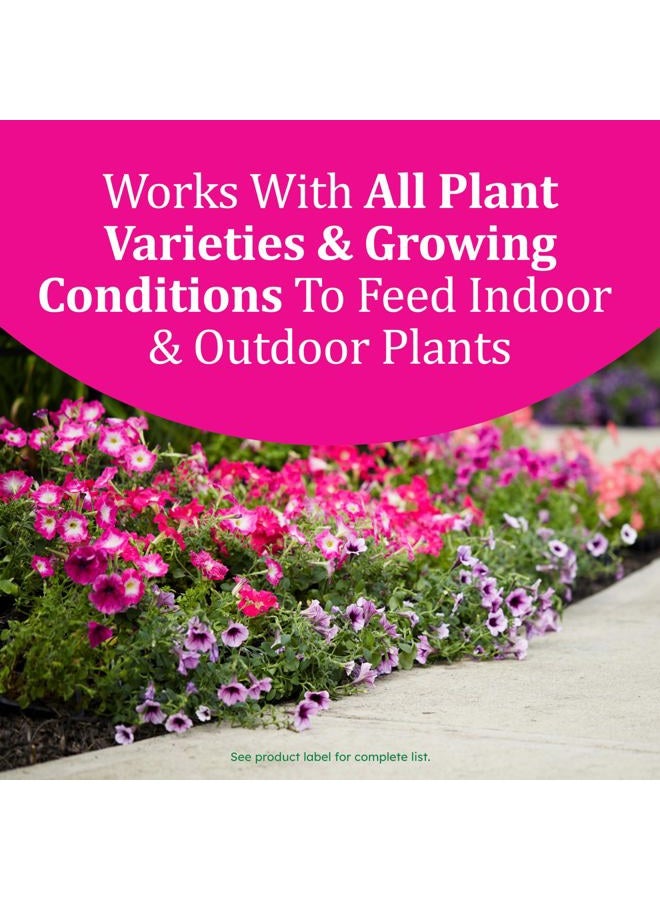 Osmocote Smart-Release Plant Food Plus Outdoor & Indoor1 - Granular, Continuous Release Plant Fertilizer with 11 Essential Nutrients, 1 lb. - Image 3