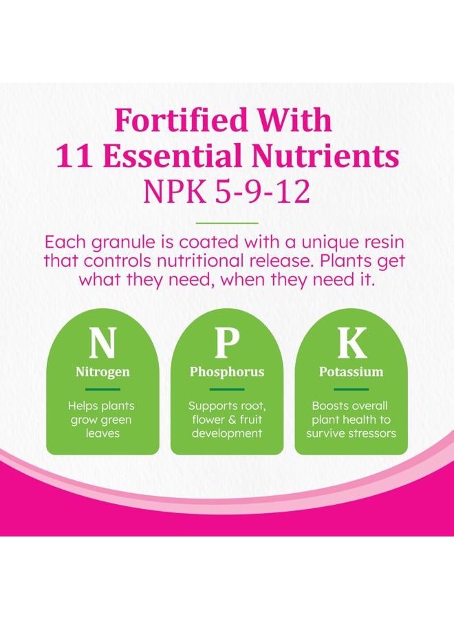 Osmocote Smart-Release Plant Food Plus Outdoor & Indoor1 - Granular, Continuous Release Plant Fertilizer with 11 Essential Nutrients, 1 lb. - Image 4