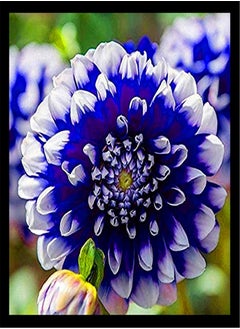 Can be Planted All Year Round/Extraordinary Flowers/Long Flowering Period/Dahlia Seeds/Perennial plants-75 PCS,c