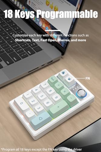 TISHLED Gasket Creamy Mechanical Numpad Programmable Macro Keypad Wireless 2.4G/Bluetooth 5.0/Wired USB-C RGB Backlit Hot Swappable Number Pad Rechargeable Numeric Keyboard Metal Knob for Win/Mac - Image 4