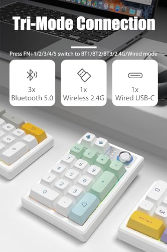 TISHLED Gasket Creamy Mechanical Numpad Programmable Macro Keypad Wireless 2.4G/Bluetooth 5.0/Wired USB-C RGB Backlit Hot Swappable Number Pad Rechargeable Numeric Keyboard Metal Knob for Win/Mac - Image 2