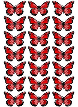 EyER Shoping Glossy Thick 200GR Photo Paper for Butterfly Bouquet 
