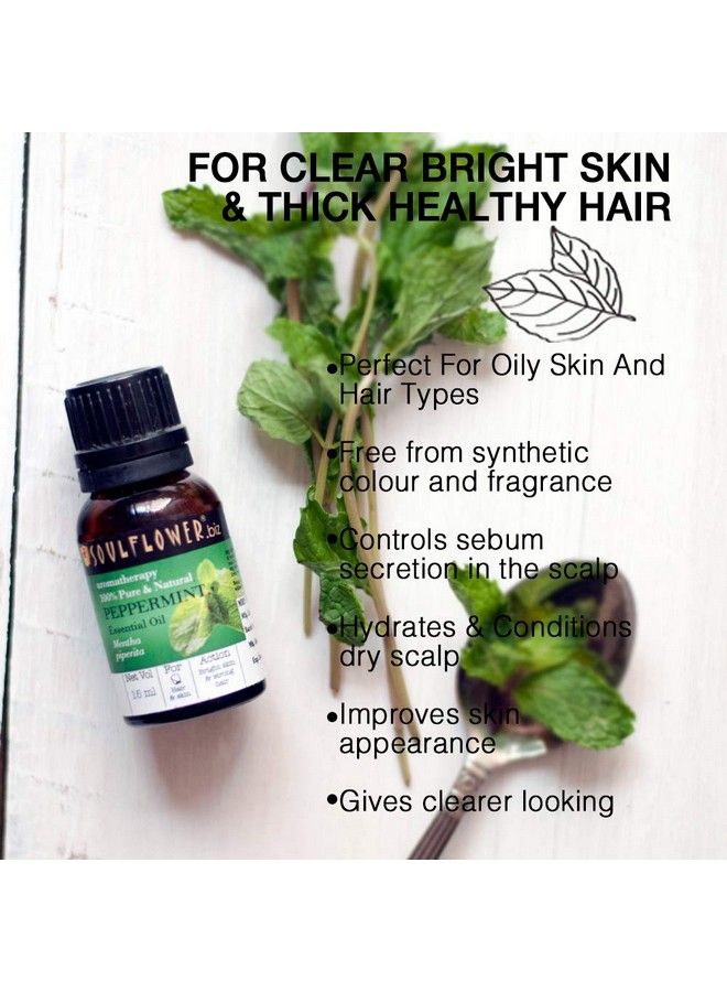 Soulflower Peppermint Essential Oil For Skin & Hair Care Scalp Aromatherapy 100% Pure & Natural Undiluted Oil Ecocert Cosmos Organic Certified (Pack Of 2) 15Ml Each - Image 3