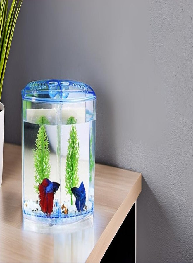 PBR Betta Fish Tank with 2 compartments | Fighter Fish Tank with partition | Suitable only for Small Fishes - Image 1