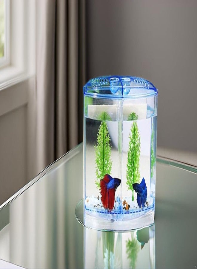 PBR Betta Fish Tank with 2 compartments | Fighter Fish Tank with partition | Suitable only for Small Fishes - Image 3